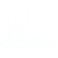 Biryani
